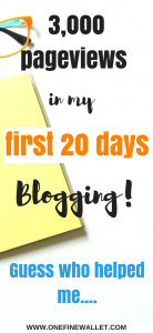I reached almost 3,000 pageviews on my new blog in the first 20 days! I couldnt wait till the end of the month to write how I did it! #blogging #howtostartablog #bloggingforbeginners