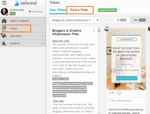 Learn how to use tailwind tribes with the tips on how to start step by step