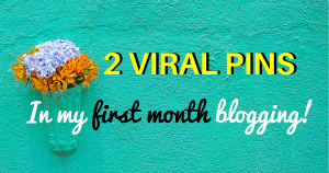 2 of my pins went viral on pinterest in my first month blogging. Here are quick tips on how you can do it too! #viralpins #pinteresttips #pintereststrategies #bloggingforbeginners
