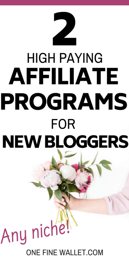 2-high-paying-affiliate-marketing-programs-for-bloggers-any-niche