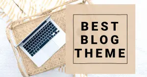 Wordpress theme for blog divi