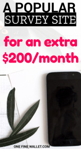 Here is the best survey site that will make you money and you can get paid real quick. Earn money from home and make money fast in your spare time. Read to find out which one is my favourite #makemoneyfast #howtomakemoney #makemoneyfromhome