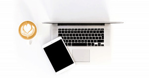 online surveys for cash