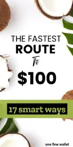 make $100 a day