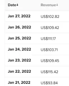 income from blogging.