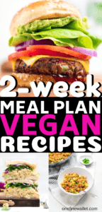 14 Healthy vegan recipes for dinner. Perfect plant based recipes for beginners and those looking to do vegan on a budget.