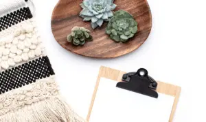 Pinecone Research app: Make extra money from home with this easy side hustle idea