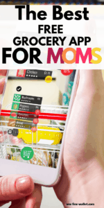 Grocery List App for Moms - Cozi Review. A free phone app to help you and your family stay organised. Try the Cozi App>
