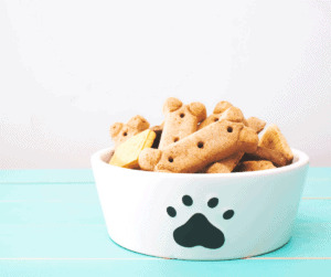 How to Start a Dog Treat Business at Home