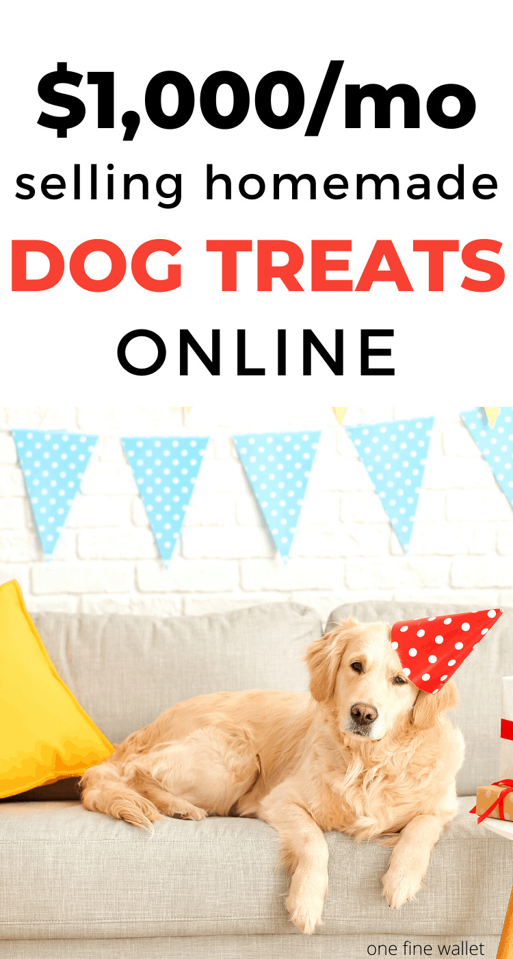 how to start a dog treat business at home. Home based online business ideas for women at home. Online business ideas. Ways to make money using the internet. 