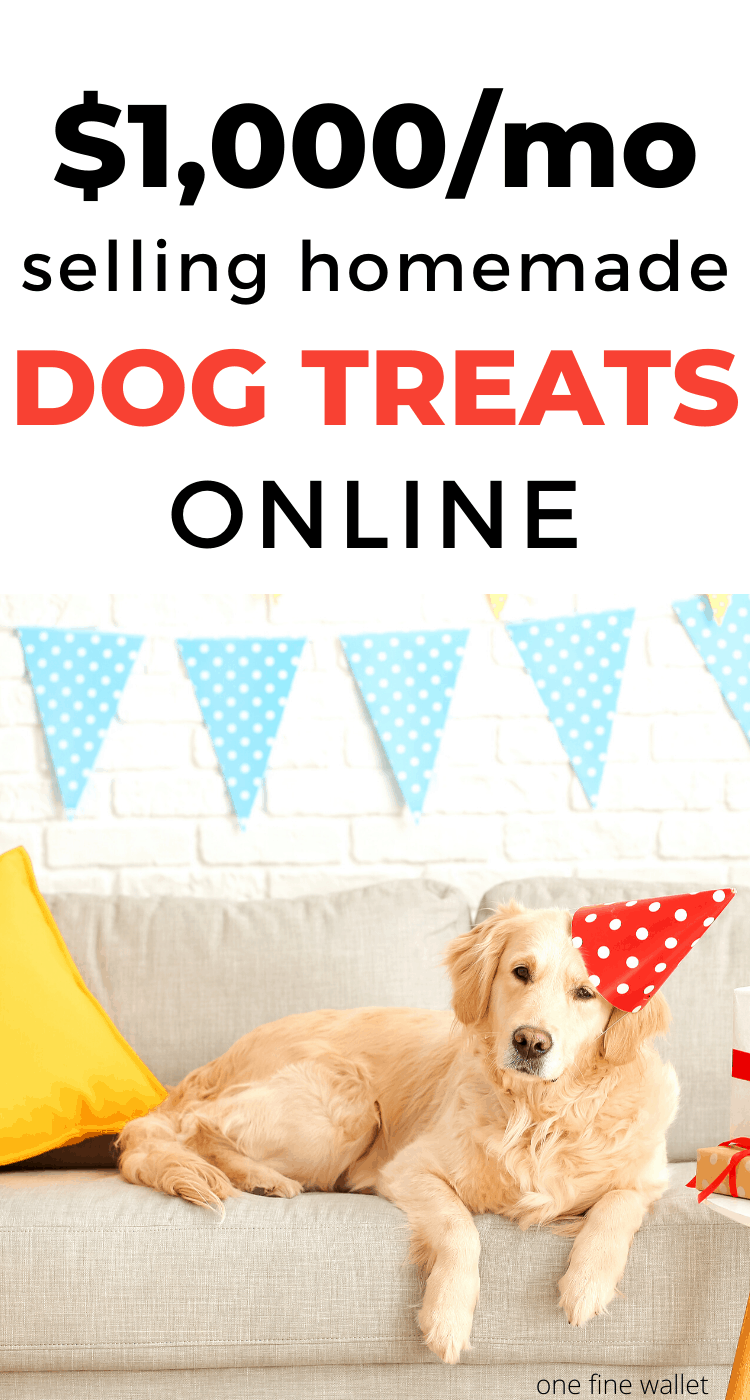 How to Start a Dog Treat Business at Home One Fine Wallet