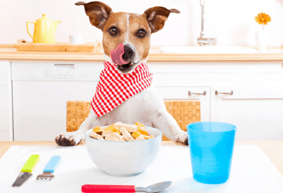 How to Start a (Part-Time) Dog Treat Business at Home – $1,000+/month