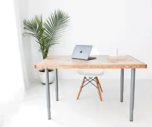 entry level work from home jobs
