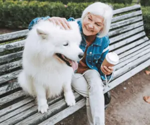 best jobs for retirees