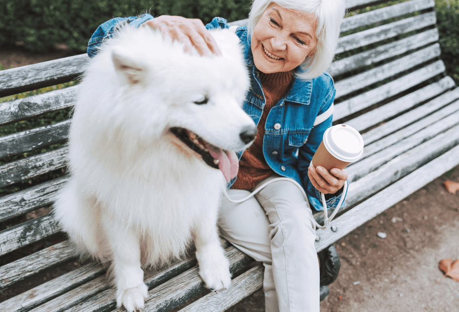 33 Low Stress Jobs After Retirement (Easy Jobs for Retirees)