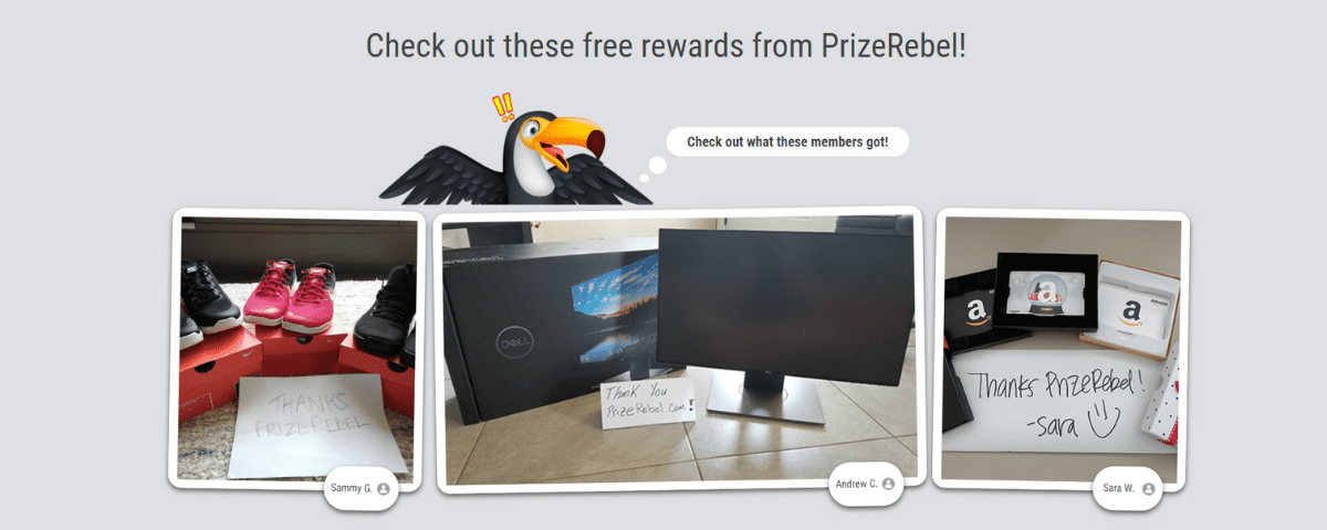 Rewards earned from Prize Rebel.
